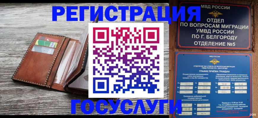 временная регистрация гарантия в Обояни